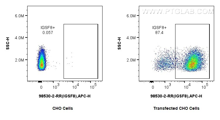 1x10^6 CHO cells or IGSF8/CD316-transfected CHO cells were surface stained with 0.25 ug Anti-Human IGSF8/CD316 Rabbit RecAb (98530-2-RR, Clone: 243019D8) or 0.25 ug Rabbit IgG Isotype Control RecAb (98136-1-RR, Clone: 240953C9), and Multi-rAb CoraLite ® Plus 647-Goat Anti-Rabbit Recombinant Secondary Antibody (H+L) (RGAR005). Cells were not fixed. This data was developed using the same antibody clone with 98530-2-PBS in a different storage buffer formulation. Flow cytometry (FC) experiment of Transfected CHO using Anti-Human IGSF8/CD316 Rabbit Recombinant Antibody (98530-2-RR)