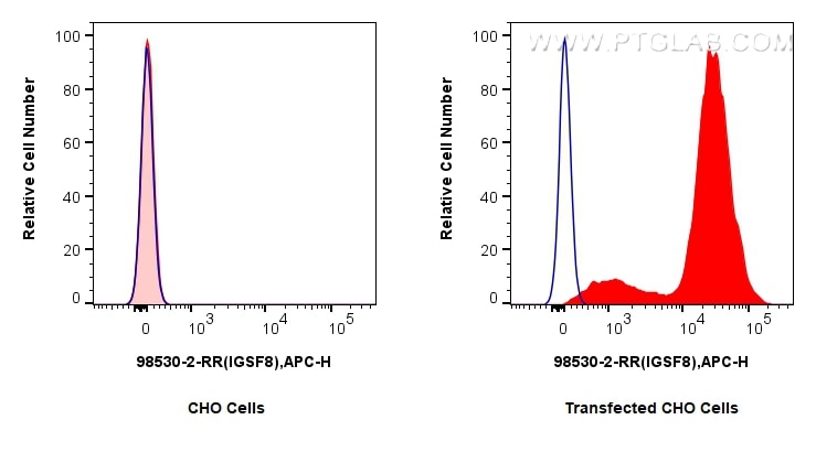 1x10^6 CHO cells or IGSF8/CD316 transfected CHO cells were surface stained with 0.25 ug Anti-Human IGSF8/CD316 Rabbit RecAb (98530-2-RR, Clone: 243019D8) (red) or 0.25 ug Rabbit IgG Isotype Control RecAb (98136-1-RR, Clone: 240953C9) (blue), and Multi-rAb CoraLite ® Plus 647-Goat Anti-Rabbit Recombinant Secondary Antibody (H+L) (RGAR005). Cells were not fixed. This data was developed using the same antibody clone with 98530-2-PBS in a different storage buffer formulation. Flow cytometry (FC) experiment of Transfected CHO using Anti-Human IGSF8/CD316 Rabbit Recombinant Antibody (98530-2-RR)