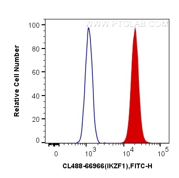 Flow cytometry (FC) experiment of Jurkat cells using CoraLite® Plus 488-conjugated IKZF1 Monoclonal ant (CL488-66966)
