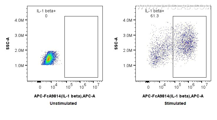 FC experiment of human PBMCs using APC-FcA98142 Flow cytometry (FC) experiment of human PBMCs using FcZero-rAb™ APC Anti-Human IL-1 beta Rabbit Recomb (APC-FcA98142)