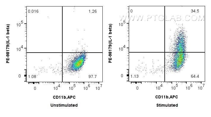 1x10^6 untreated or LPS and Brefeldin A treated mouse peritoneal macrophages were intracellularly stained with APC anti-Mouse CD11b and 0.1 ug PE Anti-Mouse IL-1 beta Rabbit RecAb (PE-98179, Clone: 241364B3). Cells were fixed with 4% PFA and permeabilized with Flow Cytometry Perm Buffer. Flow cytometry (FC) experiment of mouse peritoneal macrophages using PE Anti-Mouse IL-1 beta Rabbit Recombinant Antibod (PE-98179)