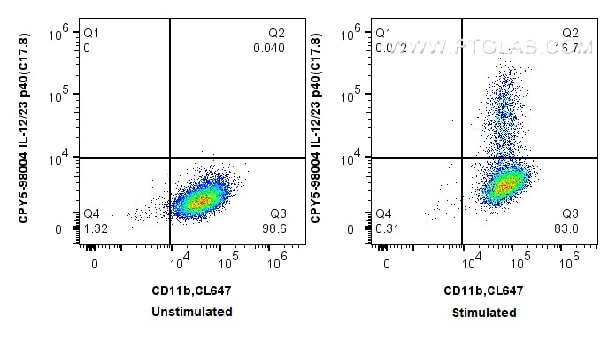 Flow cytometry (FC) experiment of RAW 264.7 cells using PerCP-Cyanine5.5 Anti-Mouse IL-12/23 p40 Rabbit Re (CPY5-98004)
