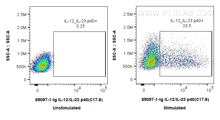 Flow cytometry (FC) experiment of RAW 264.7 cells using Anti-Mouse IL-12/IL-23 p40 (C17.8) (65097-1-Ig)