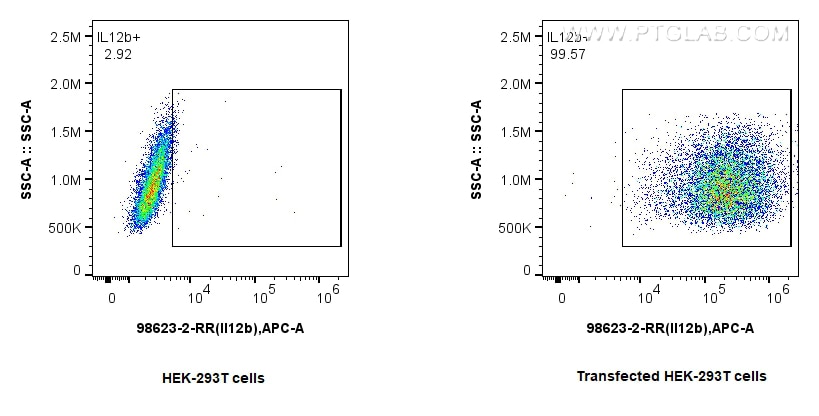 Flow cytometry (FC) experiment of Transfected HEK-293T cells using Anti-Rat IL-12/IL-23 p40 Rabbit Recombinant Antibo (98623-2-RR)