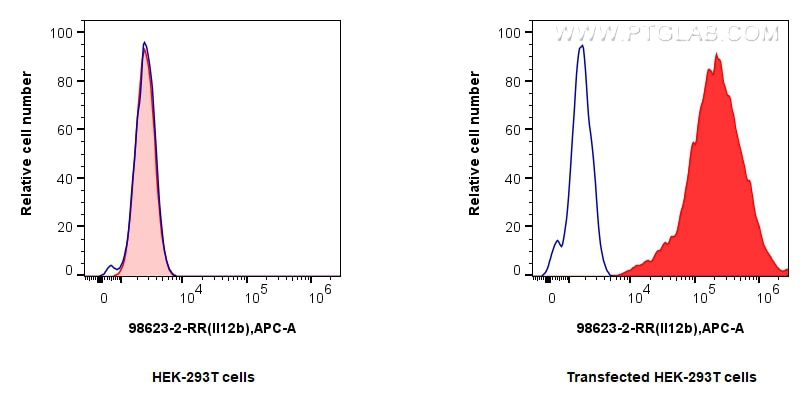 Flow cytometry (FC) experiment of Transfected HEK-293T cells using Anti-Rat IL-12/IL-23 p40 Rabbit Recombinant Antibo (98623-2-RR)