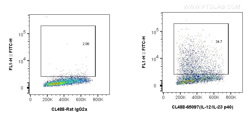 Flow cytometry (FC) experiment of Balb/c mouse peritoneal macrophages using CoraLite® Plus 488 Anti-Mouse IL-12/IL-23 p40 (C17 (CL488-65097)