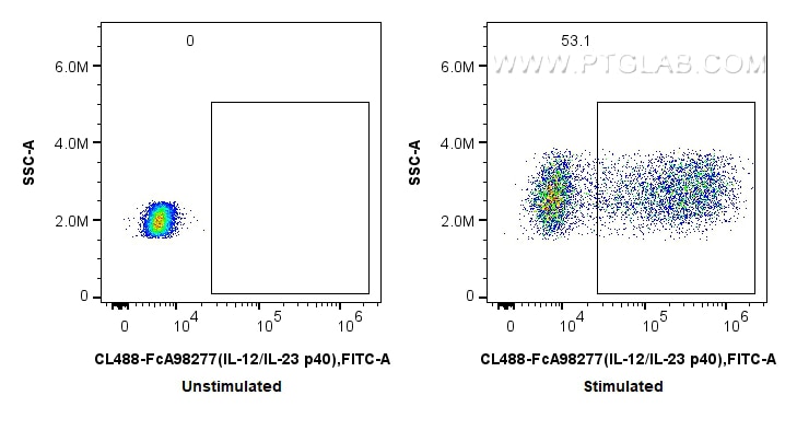 FC experiment of human PBMCs using CL488-FcA98277 Flow cytometry (FC) experiment of human PBMCs using FcZero-rAb® CoraLite® Plus 488 Anti-Human IL-12/IL (CL488-FcA98277)