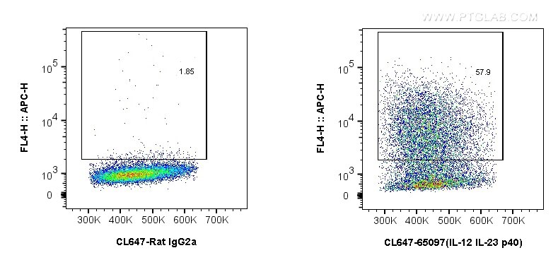 Flow cytometry (FC) experiment of Balb/c mouse peritoneal macrophages using CoraLite® Plus 647 Anti-Mouse IL-12/IL-23 p40 (C17 (CL647-65097)