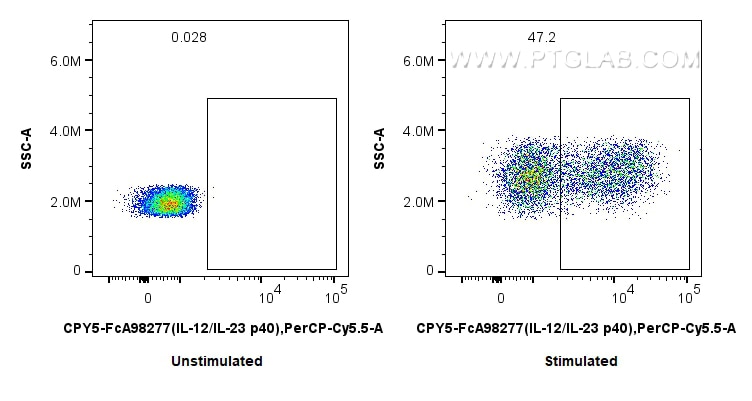 FC experiment of human PBMCs using CPY5-FcA98277 Flow cytometry (FC) experiment of human PBMCs using FcZero-rAb® PerCP-Cyanine5.5 Anti-Human IL-12/IL-2 (CPY5-FcA98277)
