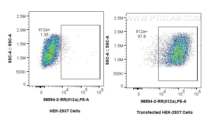 Flow cytometry (FC) experiment of Transfected HEK-293T cells using Anti-Rat IL-12A/IL-12 p35 Rabbit Recombinant Antib (98594-2-RR)