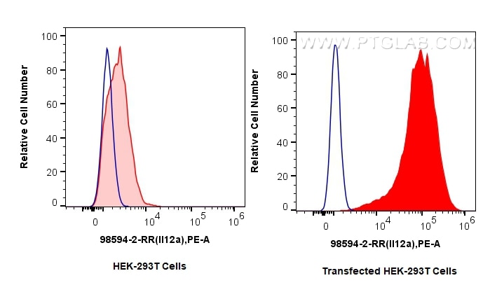 Flow cytometry (FC) experiment of Transfected HEK-293T cells using Anti-Rat IL-12A/IL-12 p35 Rabbit Recombinant Antib (98594-2-RR)