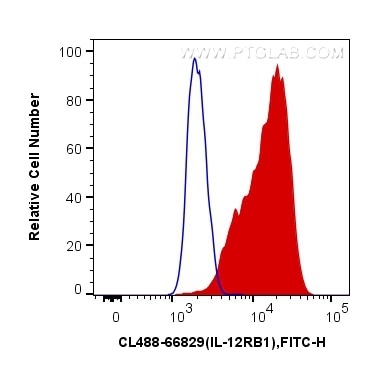 Flow cytometry (FC) experiment of K-562 cells using CoraLite® Plus 488-conjugated IL-12RB1 Monoclonal  (CL488-66829)