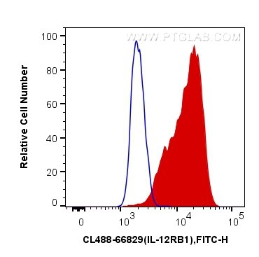 Flow cytometry (FC) experiment of K-562 cells using CoraLite® Plus 488-conjugated IL-12RB1 Monoclonal  (CL488-66829)