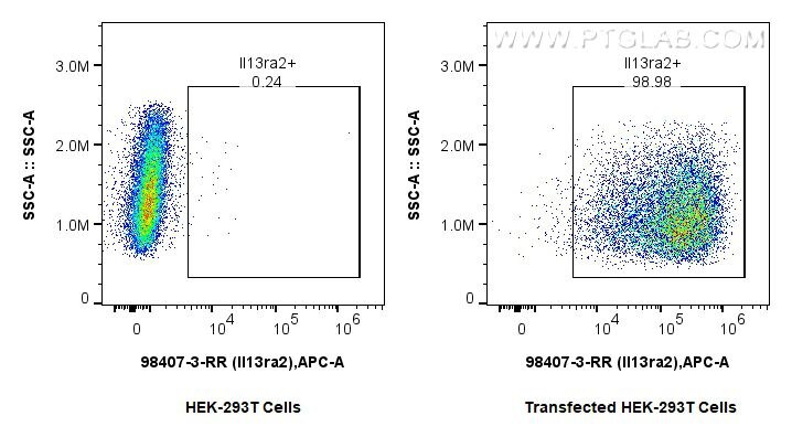 Flow cytometry (FC) experiment of Transfected HEK-293T cells using Anti-Mouse IL-13RA2 Rabbit Recombinant Antibody (98407-3-RR)