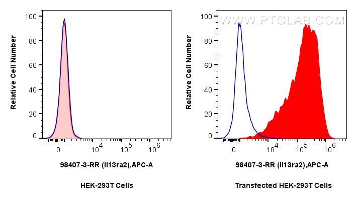 Flow cytometry (FC) experiment of Transfected HEK-293T cells using Anti-Mouse IL-13RA2 Rabbit Recombinant Antibody (98407-3-RR)