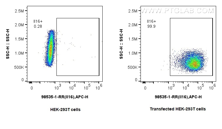 1x10^6 HEK-293T cells or IL-16 transfected HEK-293T cells were intracellularly stained with 0.25 ug Anti-Mouse IL-16 Rabbit RecAb (98535-1-RR, Clone: 250058E6) and Multi-rAb CoraLite ® Plus 647-Goat Anti-Rabbit Recombinant Secondary Antibody (H+L) (RGAR005). Cells were fixed with 4% PFA and permeabilized with Flow Cytometry Perm Buffer (PF00011-C). This data was developed using the same antibody clone with 98535-1-PBS in a different storage buffer formulation. Flow cytometry (FC) experiment of Transfected HEK-293T cells using Anti-Mouse IL-16 Rabbit Recombinant Antibody (98535-1-RR)