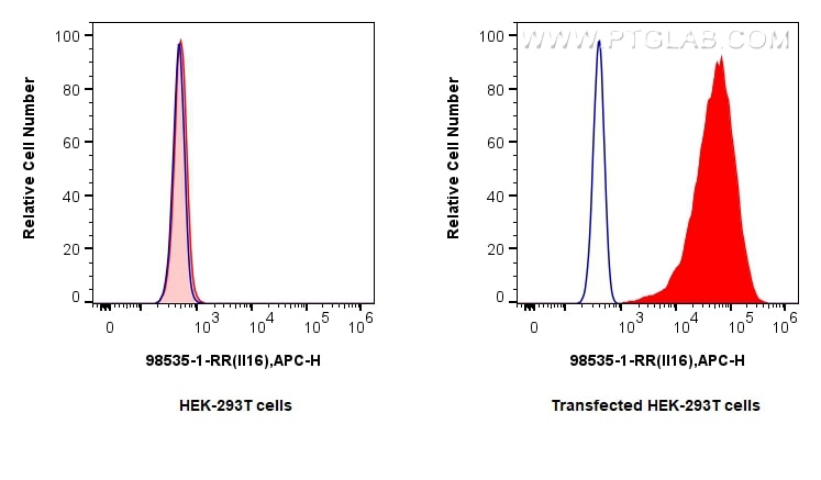 1x10^6 HEK-293T cells or IL-16 transfected HEK-293T cells were intracellularly stained with 0.25 ug Anti-Mouse IL-16 Rabbit RecAb (98535-1-RR, Clone: 250058E6) (red) or 0.25 ug Rabbit IgG Isotype Control RecAb (98136-1-RR, Clone: 240953C9) (blue), and Multi-rAb CoraLite ® Plus 647-Goat Anti-Rabbit Recombinant Secondary Antibody (H+L) (RGAR005). Cells were fixed with 4% PFA and permeabilized with Flow Cytometry Perm Buffer (PF00011-C). This data was developed using the same antibody clone with 98535-1-PBS in a different storage buffer formulation. Flow cytometry (FC) experiment of Transfected HEK-293T cells using Anti-Mouse IL-16 Rabbit Recombinant Antibody (98535-1-RR)