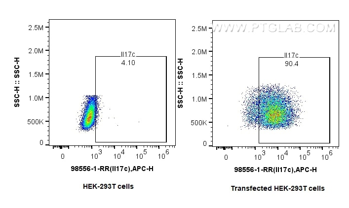 Flow cytometry (FC) experiment of Transfected HEK-293T cells using Anti-Mouse IL-17C Rabbit Recombinant Antibody (98556-1-RR)