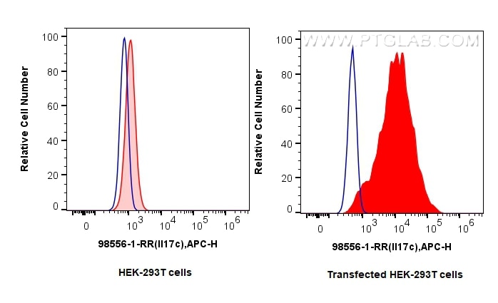 Flow cytometry (FC) experiment of Transfected HEK-293T cells using Anti-Mouse IL-17C Rabbit Recombinant Antibody (98556-1-RR)