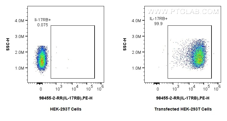 Flow cytometry (FC) experiment of Transfected HEK-293T cells using Anti-Mouse IL-17RB Rabbit Recombinant Antibody (98455-2-RR)