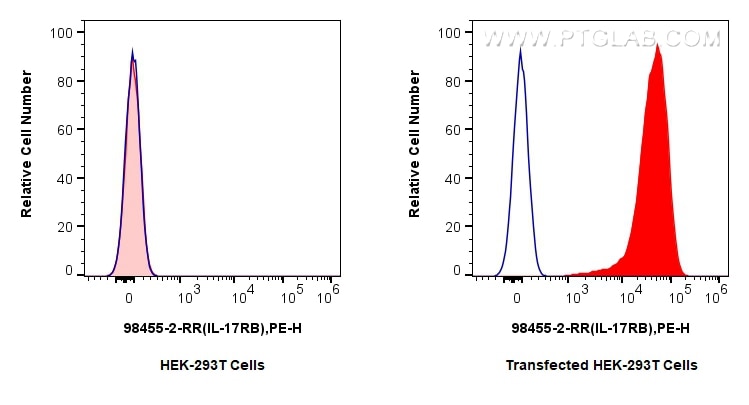 Flow cytometry (FC) experiment of Transfected HEK-293T cells using Anti-Mouse IL-17RB Rabbit Recombinant Antibody (98455-2-RR)