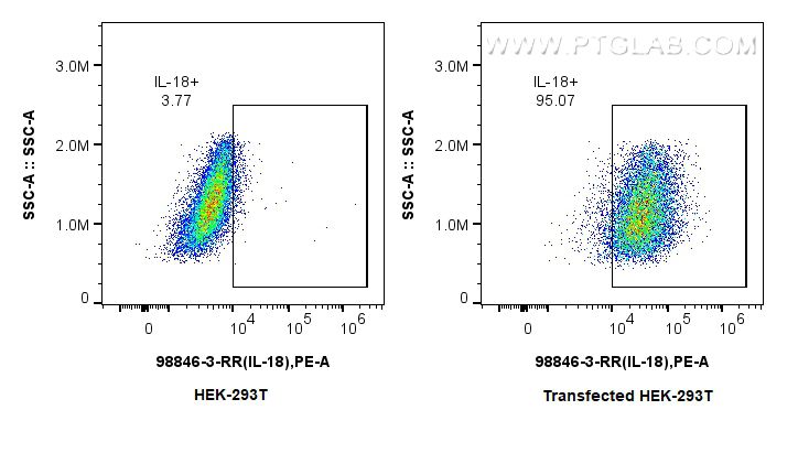 FC experiment of Transfected HEK-293T using 98846-3-RR (same clone as 98846-3-PBS) Flow cytometry (FC) experiment of Transfected HEK-293T cells using Anti-Mouse IL-18 Rabbit Recombinant Antibody (98846-3-RR)