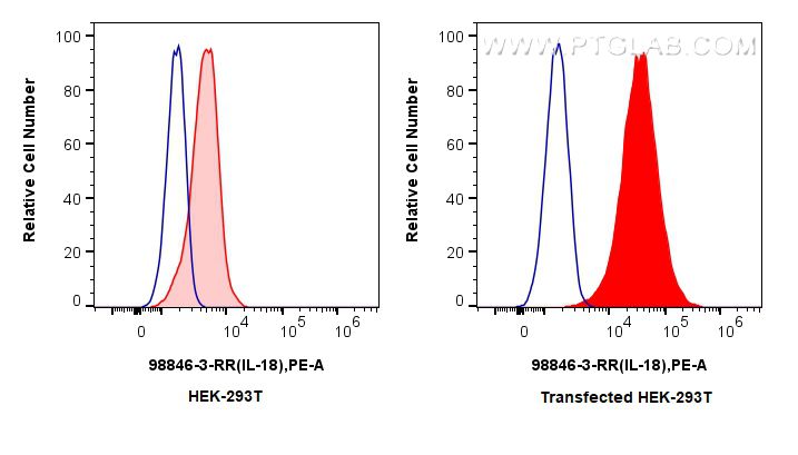 FC experiment of Transfected HEK-293T using 98846-3-RR (same clone as 98846-3-PBS) Flow cytometry (FC) experiment of Transfected HEK-293T cells using Anti-Mouse IL-18 Rabbit Recombinant Antibody (98846-3-RR)