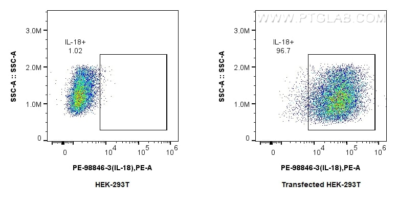 FC experiment of Transfected HEK-293T using PE-98846-3 Flow cytometry (FC) experiment of Transfected HEK-293T cells using PE Anti-Mouse IL-18 Rabbit Recombinant Antibody (PE-98846-3)