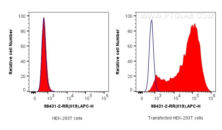 1x10^6 HEK-293T cells (left) or IL-19 transfected HEK-293T cells (right) were intracellularly stained with 0.25 ug Anti-Mouse IL-19 Rabbit RecAb (98431-2-RR, Clone: 242880F4) (red) or Rabbit IgG Isotype Control RecAb (98136-1-RR, Clone: 240953C9) (blue), and APC-Conjugated Goat Anti-Rabbit IgG(H+L). Cells were fixed with 4% PFA and permeabilized with Flow Cytometry Perm Buffer (PF00011-C). Flow cytometry (FC) experiment of Transfected HEK-293T cells using Anti-Mouse IL-19 Rabbit Recombinant Antibody (98431-2-RR)