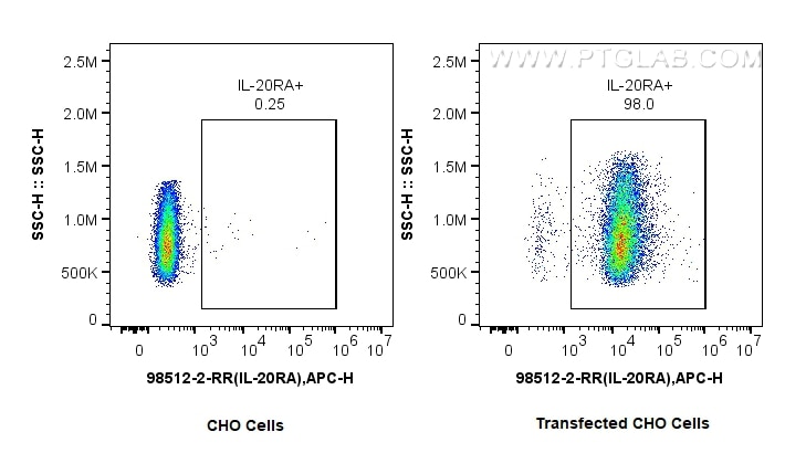 1x10^6 CHO cells or IL-20RA-transfected CHO cells were surface stained with 0.25 ug Anti-Human IL-20RA Rabbit RecAb (98512-2-RR, Clone: 250321B10) and APC-Conjugated Goat Anti-Rabbit IgG(H+L). Cells were not fixed. This data was developed using the same antibody clone with 98512-2-PBS in a different storage buffer formulation. Flow cytometry (FC) experiment of Transfected CHO using Anti-Human IL-20RA Rabbit Recombinant Antibody (98512-2-RR)