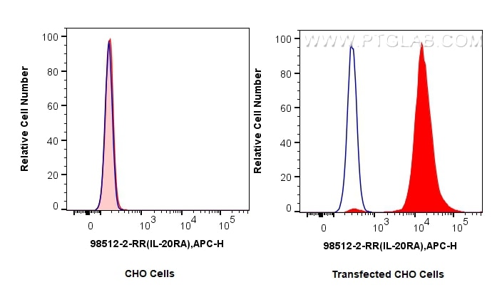 1x10^6 CHO cells or IL-20RA-transfected CHO cells were surface stained with 0.25 ug Anti-Human IL-20RA Rabbit RecAb (98512-2-RR, Clone: 250321B10) (red) or 0.25 ug Rabbit IgG Isotype Control RecAb (98136-1-RR, Clone: 240953C9) (blue), and APC-Conjugated Goat Anti-Rabbit IgG(H+L). Cells were not fixed. This data was developed using the same antibody clone with 98512-2-PBS in a different storage buffer formulation. Flow cytometry (FC) experiment of Transfected CHO using Anti-Human IL-20RA Rabbit Recombinant Antibody (98512-2-RR)