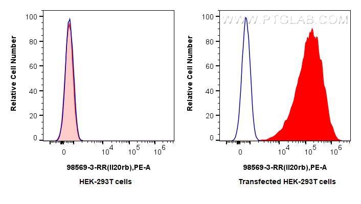 Flow cytometry (FC) experiment of Transfected HEK-293T cells using Anti-Mouse IL-20RB Rabbit Recombinant Antibody (98569-3-RR)