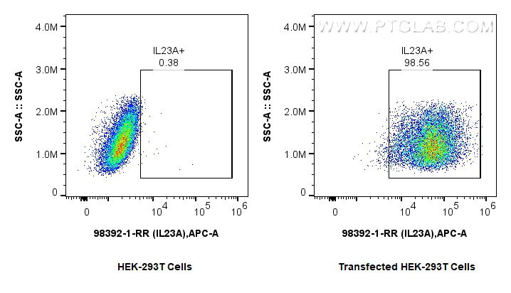 Flow cytometry (FC) experiment of Transfected HEK-293T cells using Anti-Mouse IL-23 p19 Rabbit Recombinant Antibody (98392-1-RR)