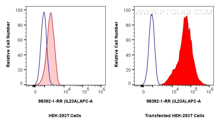 Flow cytometry (FC) experiment of Transfected HEK-293T cells using Anti-Mouse IL-23 p19 Rabbit Recombinant Antibody (98392-1-RR)