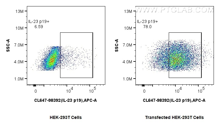 FC experiment of Transfected HEK-293T using CL647-98392 Flow cytometry (FC) experiment of Transfected HEK-293T cells using CoraLite® Plus 647 Anti-Mouse IL-23 p19 Rabbit Rec (CL647-98392)
