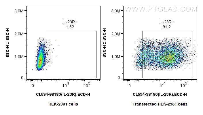 Flow cytometry (FC) experiment of Transfected HEK-293T cells using CoraLite®594 Anti-Human IL-23R Rabbit Recombinant  (CL594-98180)