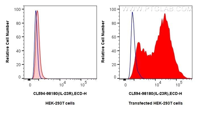 Flow cytometry (FC) experiment of Transfected HEK-293T cells using CoraLite®594 Anti-Human IL-23R Rabbit Recombinant  (CL594-98180)