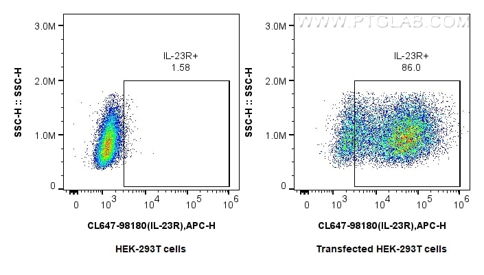 Flow cytometry (FC) experiment of Transfected HEK-293T cells using CoraLite® Plus 647 Anti-Human IL-23R Rabbit Recomb (CL647-98180)