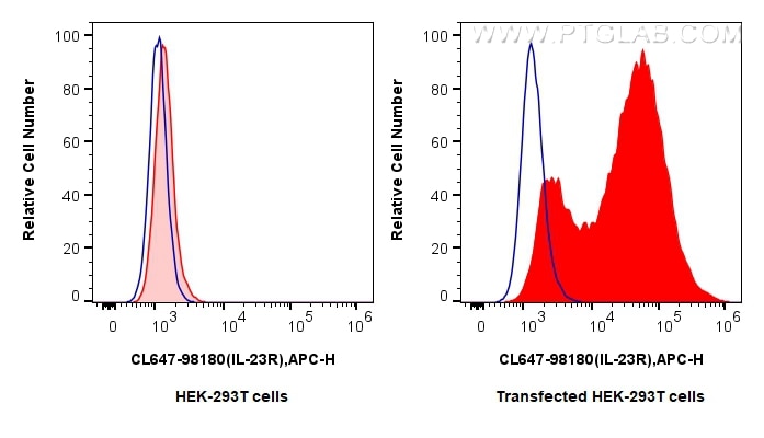 Flow cytometry (FC) experiment of Transfected HEK-293T cells using CoraLite® Plus 647 Anti-Human IL-23R Rabbit Recomb (CL647-98180)