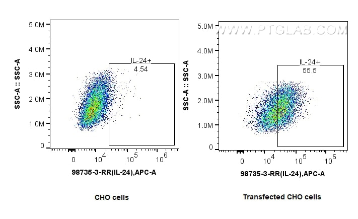 FC experiment of CHO using 98735-3-RR (same clone as 98735-3-PBS) Flow cytometry (FC) experiment of CHO cells using Anti-Human IL-24 Rabbit Recombinant Antibody (98735-3-RR)