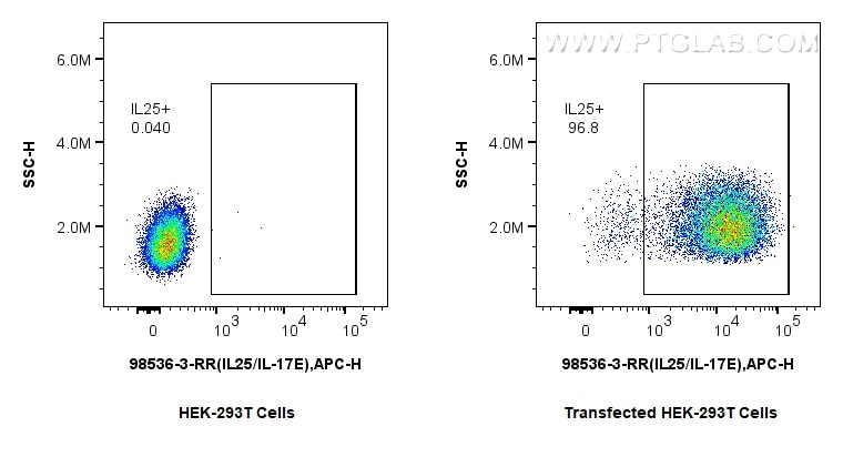 Flow cytometry (FC) experiment of Transfected HEK-293T cells using Anti-Mouse IL-25/IL-17E Rabbit Recombinant Antibod (98536-3-RR)