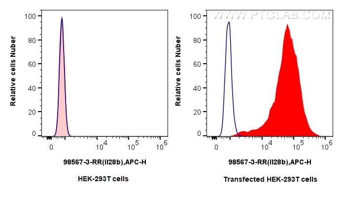 1x10^6 HEK-293T cells (left) or IL-28B transfected HEK-293T cells (right) were stained with 0.25 ug Anti-Mouse IL-28B Rabbit RecAb (98567-3-RR, Clone: 250563C9) (red) or Rabbit IgG Isotype Control RecAb (98136-1-RR, Clone: 240953C9)(blue), and APC-Conjugated Goat Anti-Rabbit IgG(H+L). Cells were fixed with 4% PFA and permeabilized with Flow Cytometry Perm Buffer (PF00011-C). This data was developed using the same antibody clone with 98567-3-PBS in a different storage buffer formulation. Flow cytometry (FC) experiment of Transfected HEK-293T cells using Anti-Mouse IL-28B Rabbit Recombinant Antibody (98567-3-RR)