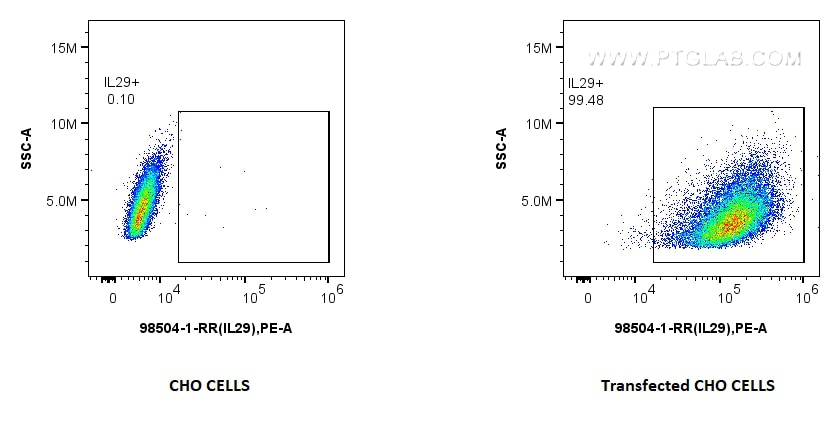 Flow cytometry (FC) experiment of Transfected CHO using Anti-Human IL-29 Rabbit Recombinant Antibody (98504-1-RR)