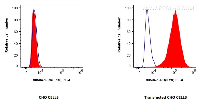 Flow cytometry (FC) experiment of Transfected CHO using Anti-Human IL-29 Rabbit Recombinant Antibody (98504-1-RR)