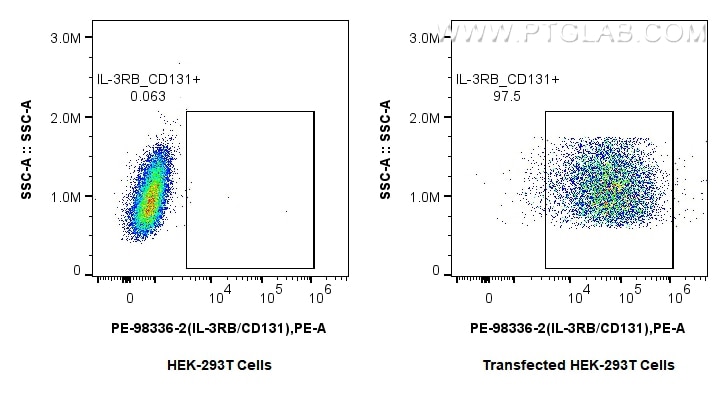 FC experiment of Transfected HEK-293T using PE-98336-2 Flow cytometry (FC) experiment of Transfected HEK-293T cells using PE Anti-Human IL-3RB/CD131 Rabbit Recombinant Anti (PE-98336-2)