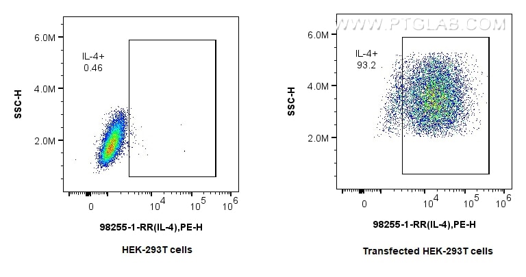 Flow cytometry (FC) experiment of Transfected HEK-293T cells using Anti-Rat IL-4 Rabbit Recombinant Antibody (98255-1-RR)