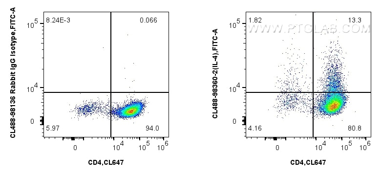 1x10^6 PMA, Ionomycin and Brefeldin A treated C57BL/6 Th2-polarized splenocytes were intracellularly stained with CoraLite® Plus 647 Anti-Mouse CD4, and 0.25 ug CoraLite® Plus 488 Anti-Mouse IL-4 Rabbit RecAb (CL488-98360-2, Clone:242736G8), or CoraLite® Plus 488 Rabbit IgG Isotype Control RecAb (CL488-98136, Clone: 240953C9). Cells were fixed and permeabilized with Intracellular Flow Cytometry Fixation & Permeabilization Buffer Kit (PF00019). Flow cytometry (FC) experiment of C57BL/6 Th2-polarized splenocytes using CoraLite® Plus 488 Anti-Mouse IL-4 Rabbit Recombin (CL488-98360-2)