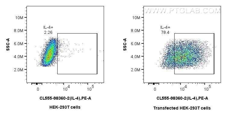 1x10^6 HEK-293T cells or IL-4 transfected HEK-293T cells were intracellularly stained with 0.25 ug CoraLite® Plus 555 Anti-Mouse IL-4 Rabbit RecAb (CL555-98360-2, Clone: 242736G8). Cells were fixed and permeabilized with Intracellular Flow Cytometry Fixation & Permeabilization Buffer Kit (PF00019). Flow cytometry (FC) experiment of Transfected HEK-293T cells using CoraLite® Plus 555 Anti-Mouse IL-4 Rabbit Recombin (CL555-98360-2)