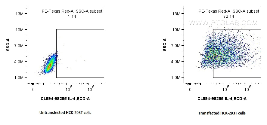 Flow cytometry (FC) experiment of Transfected HEK-293T cells using CoraLite®594 Anti-Rat IL-4 Rabbit Recombinant Anti (CL594-98255)
