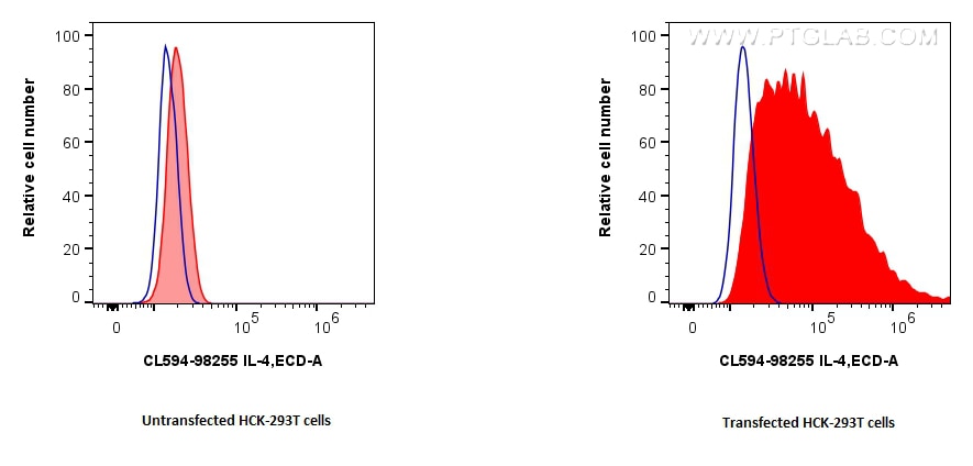 Flow cytometry (FC) experiment of Transfected HEK-293T cells using CoraLite®594 Anti-Rat IL-4 Rabbit Recombinant Anti (CL594-98255)